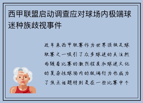 西甲联盟启动调查应对球场内极端球迷种族歧视事件