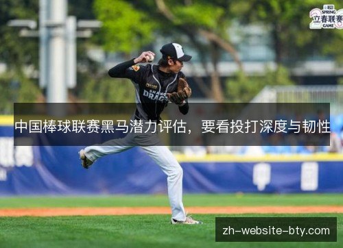 中国棒球联赛黑马潜力评估，要看投打深度与韧性